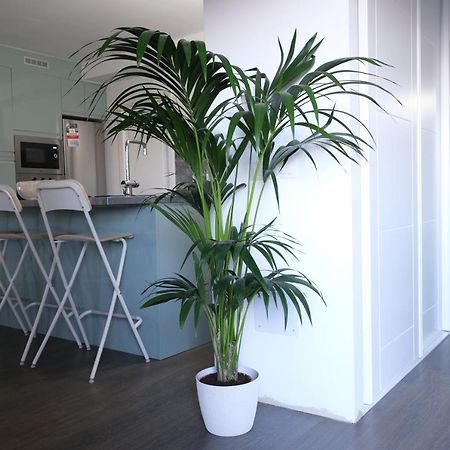 Vivienda Vacacional El Cabo Валверде Екстериор снимка